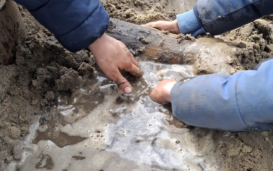 Natuurspeelplaats