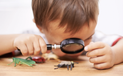 inspectie onderzoek